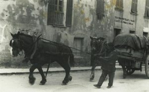 img_chi_siamo_01